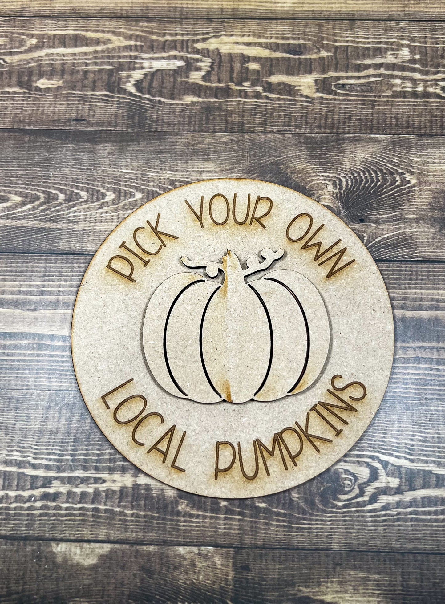 Pumpkin Sign Paint Kit - Ideal for DIY Projects and Custom Painting