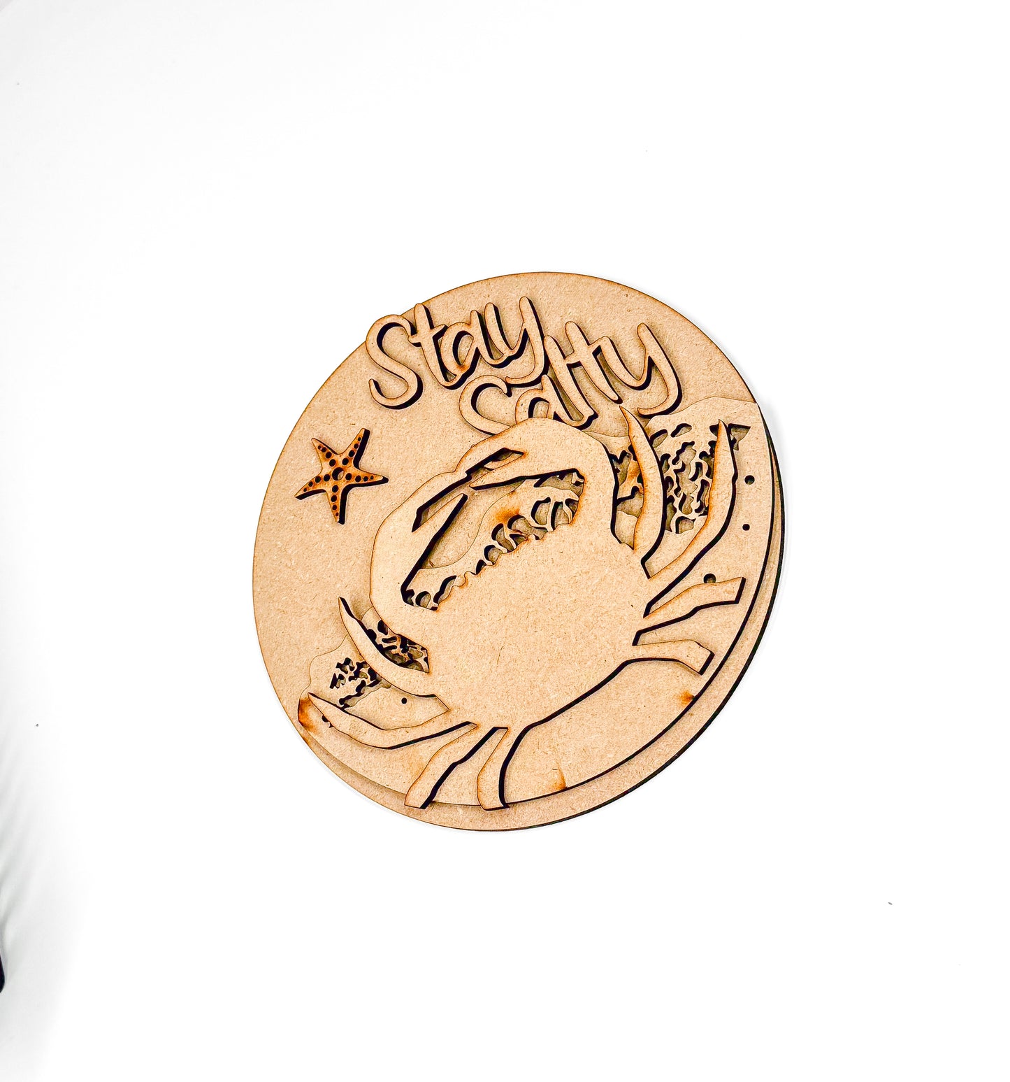 Stay Salty DIY Paint Kit - Ideal for DIY Projects and Custom Painting