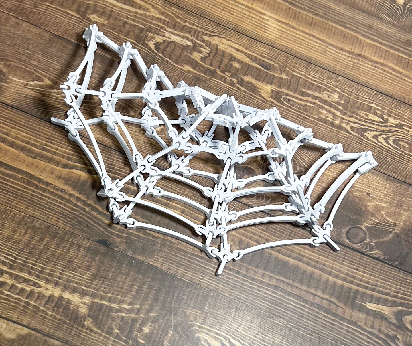 The Spider’s Web, 3D Printed, Desk Item, Custom Product, Decor, Adult Gift