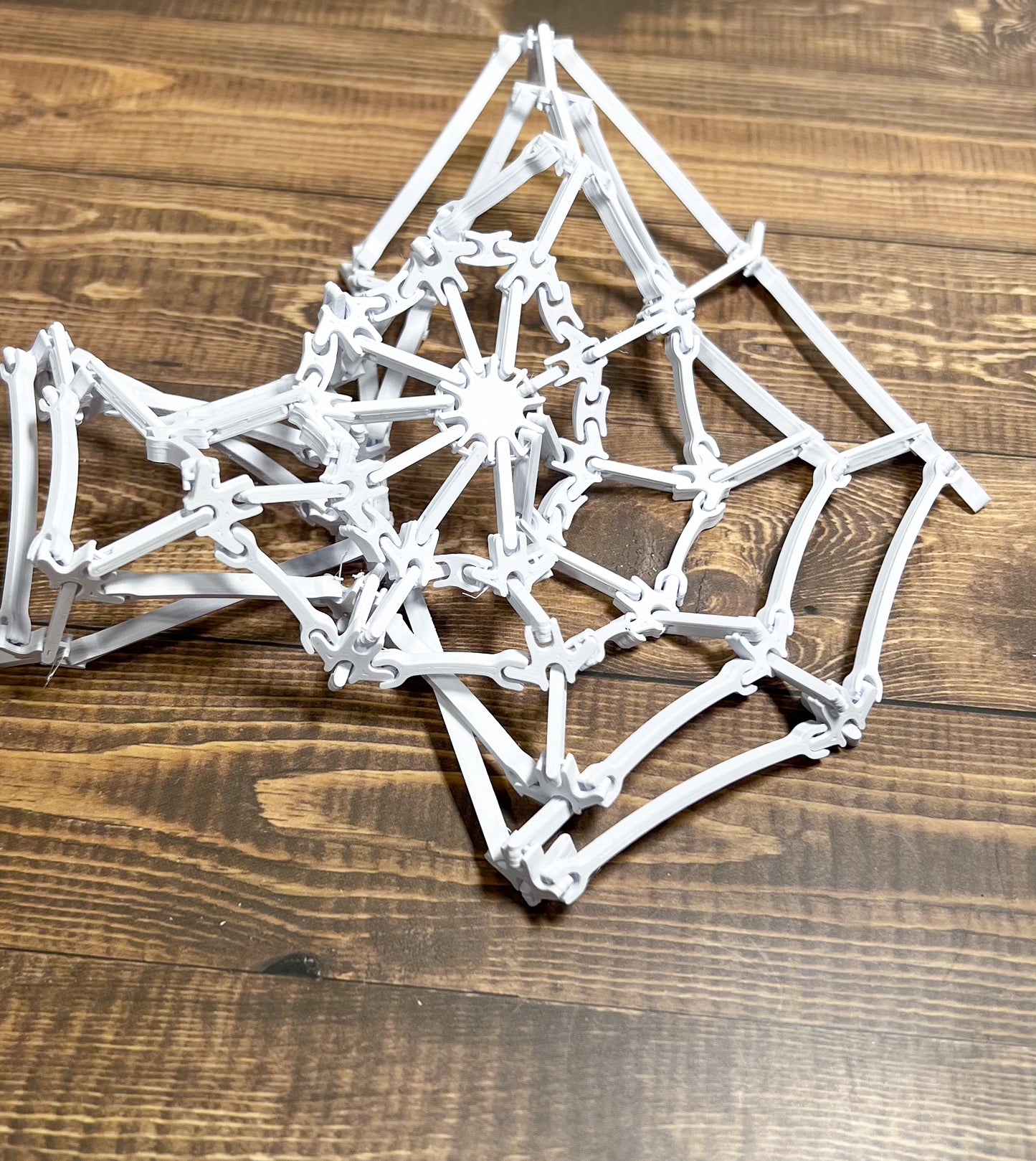 The Spider’s Web, 3D Printed, Desk Item, Custom Product, Decor, Adult Gift