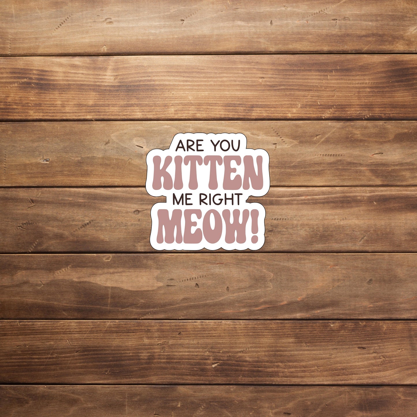 Are you kitten me right now Sticker, Vinyl sticker, laptop sticker, Tablet sticker