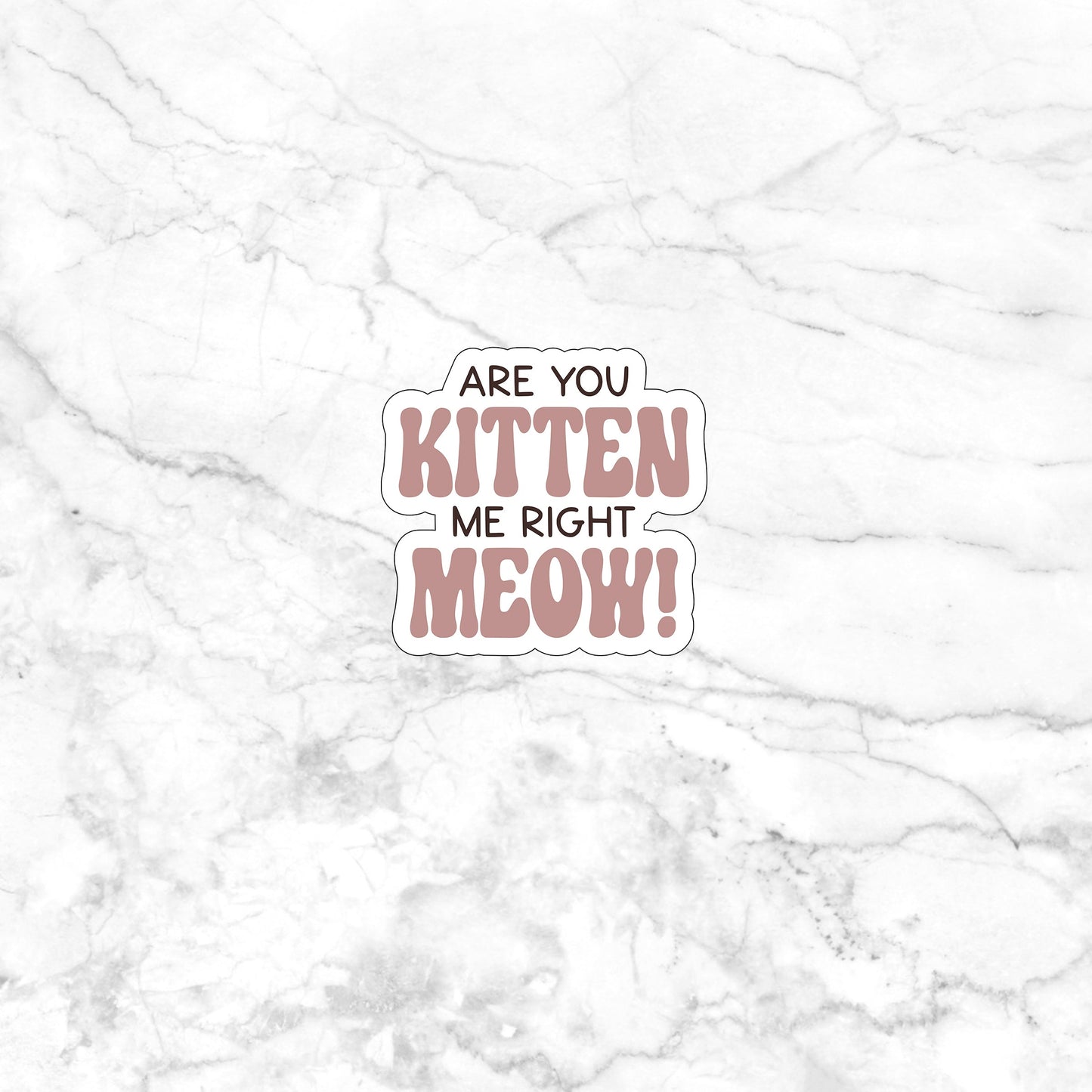 Are you kitten me right now Sticker, Vinyl sticker, laptop sticker, Tablet sticker
