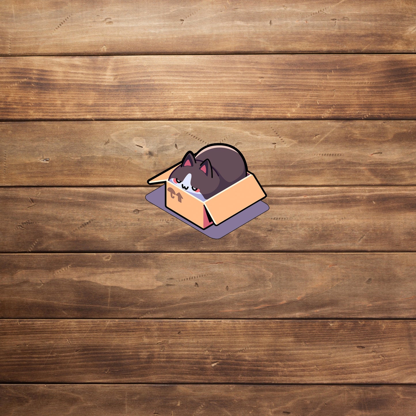 Cat in a Box Sticker