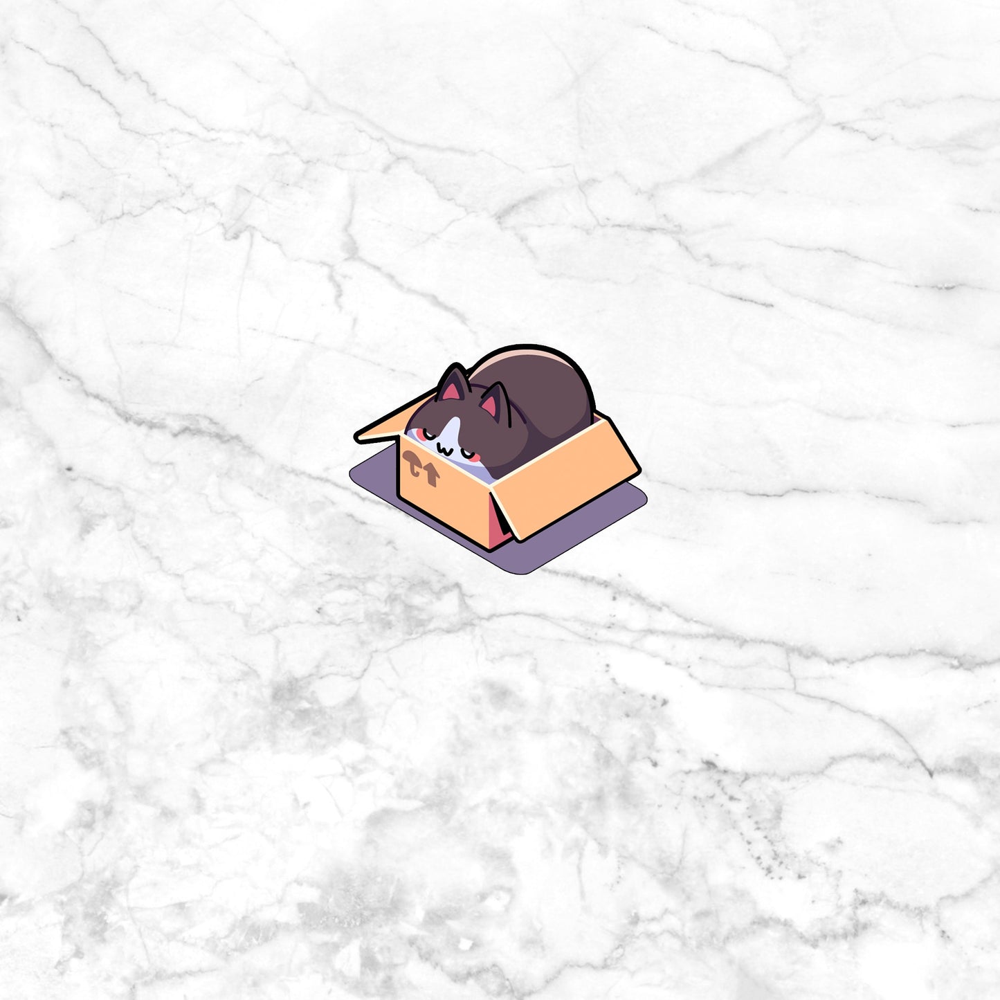 Cat in a Box Sticker