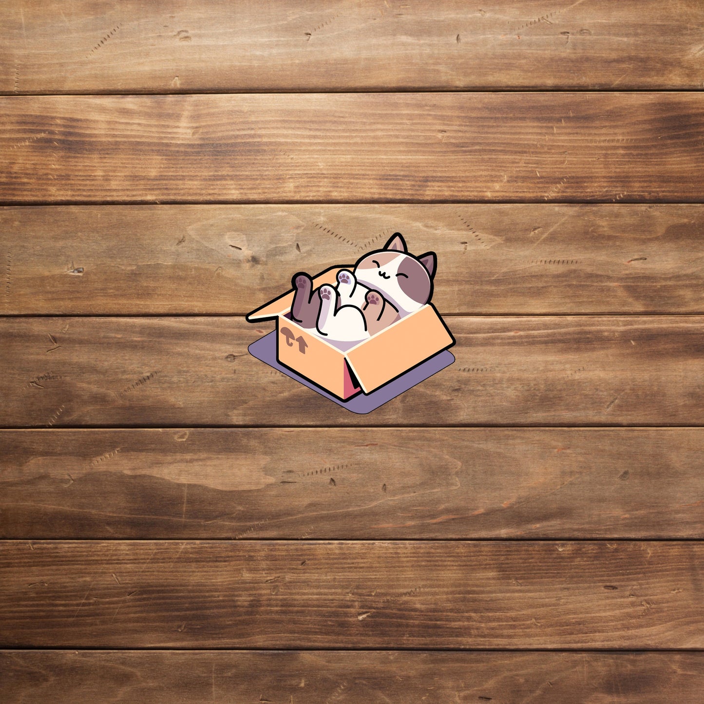 Cat in a Box Sticker