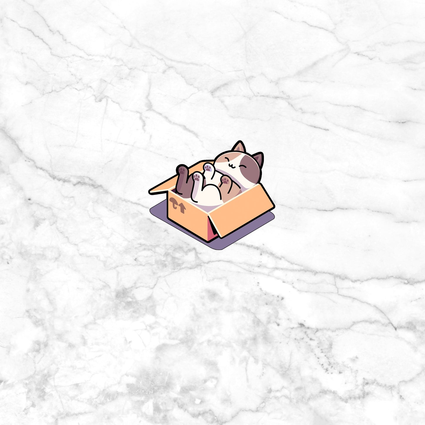 Cat in a Box Sticker
