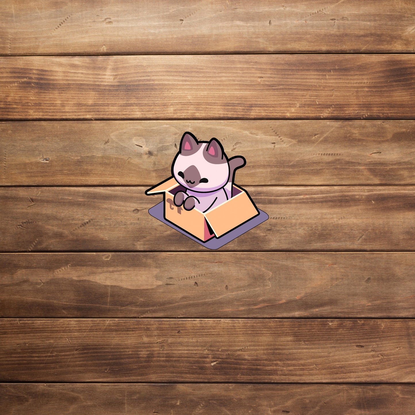 Box Cat Sticker