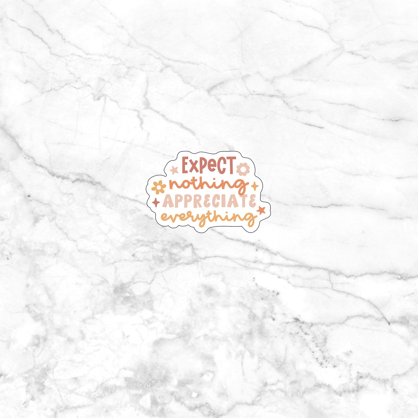 Expect Nothing Sticker