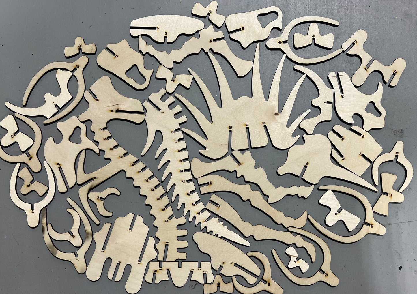 3D Puzzle T-Rex or Triceratops