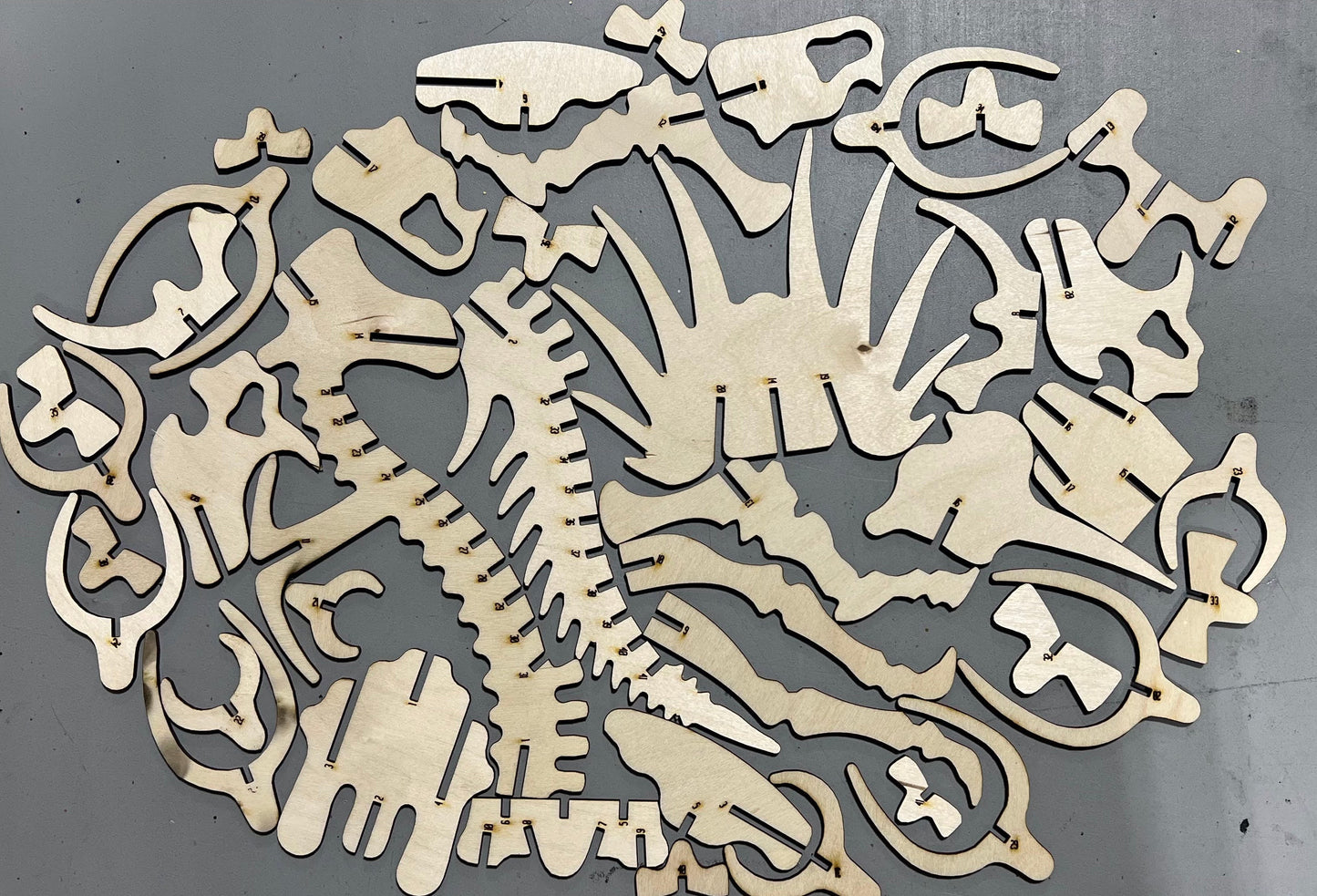3D Puzzle T-Rex or Triceratops