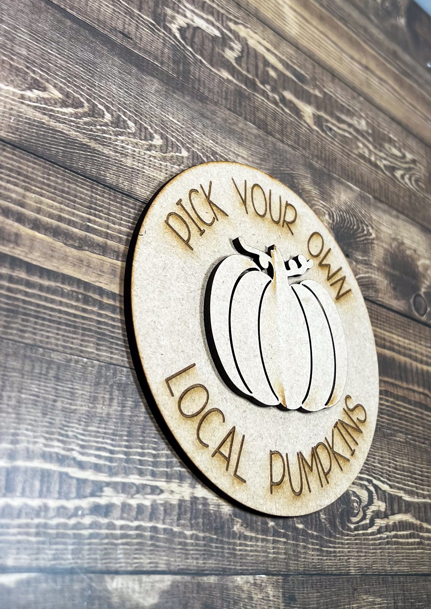 Pumpkin Sign Paint Kit - Ideal for DIY Projects and Custom Painting
