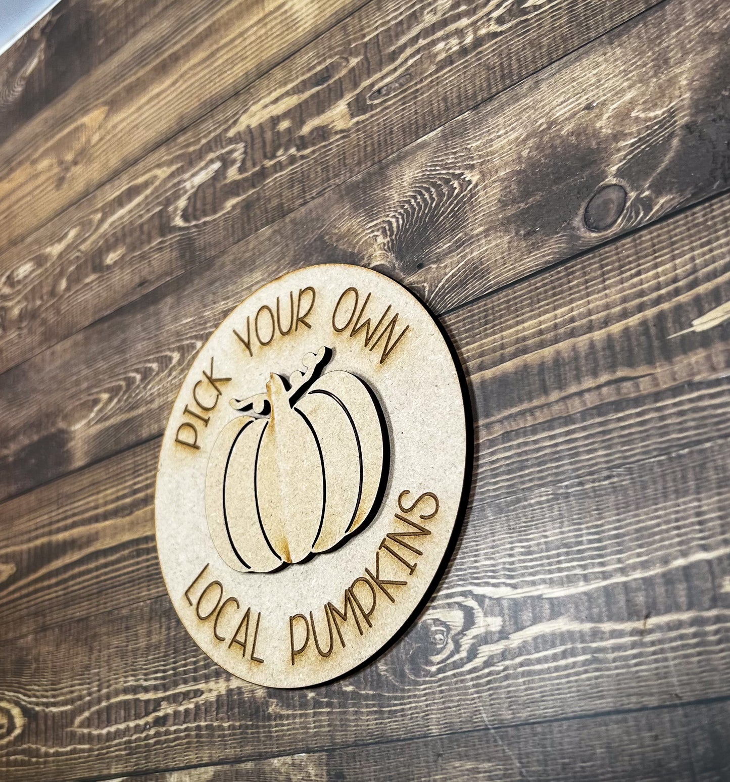 Pumpkin Sign Paint Kit - Ideal for DIY Projects and Custom Painting