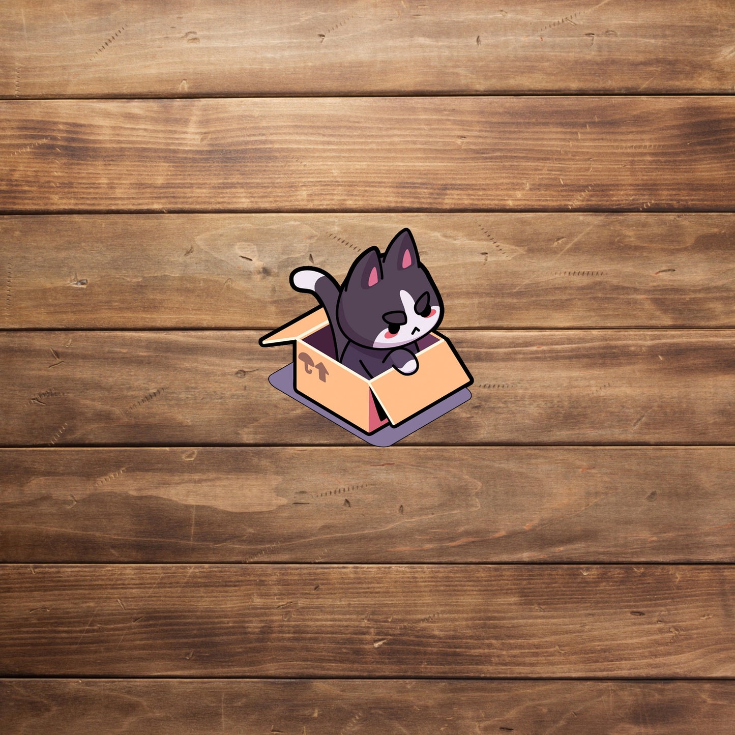 Cat in a Box Sticker