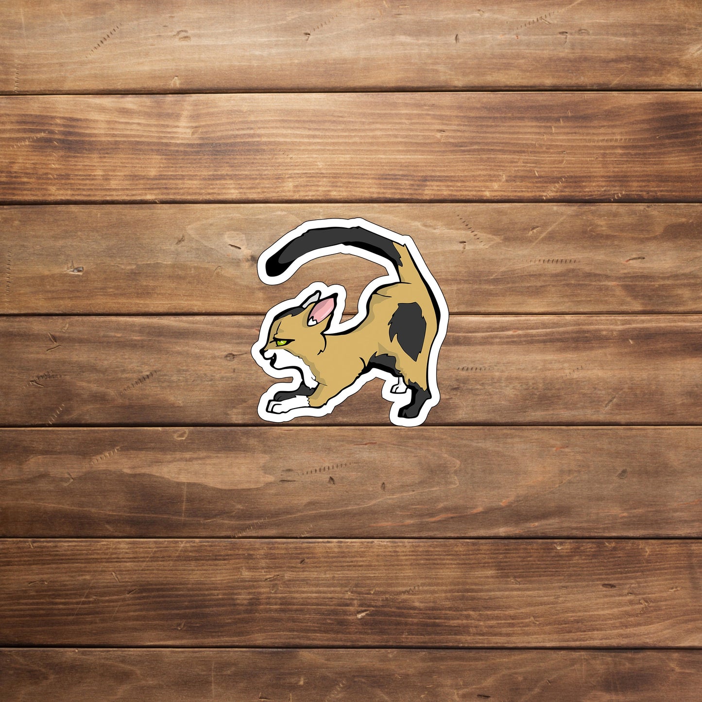 cats 0 Sticker